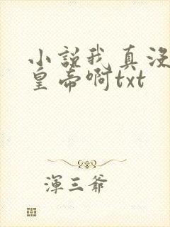 小说我真没想当皇帝啊txt