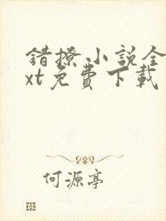 错撩小说全文txt免费下载封面