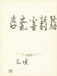 爽文小说发疯一口气看到结局