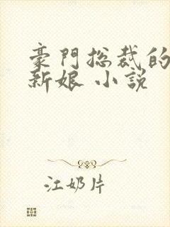 豪门总裁的失心新娘 小说封面