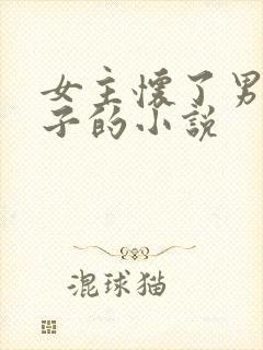 女主怀了男主孩子的小说