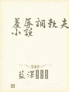 羞辱调教夫妻奴小说封面