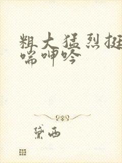 粗大猛烈挺进娇喘呻吟