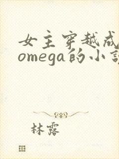 女主穿越成稀有omega的小说