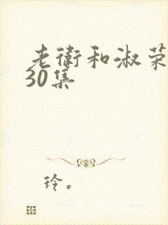 老卫和淑荣1一30集