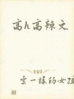 高h高辣文封面
