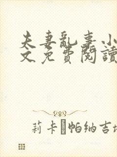 夫妻乱事小说全文免费阅读最新章节