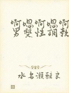 啊嗯啊嗯啊嗯男男双性调教sm