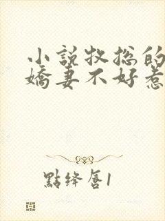 小说牧总的偏爱娇妻不好惹全文阅读