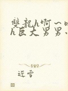 双龙h啊～嗯啊h巨大男男小说