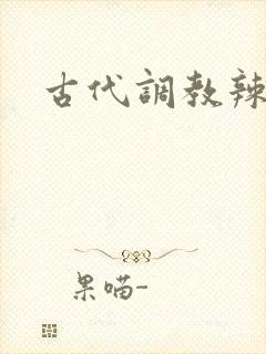 古代调教辣文