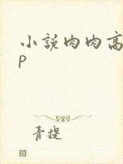 小说肉肉高hnp