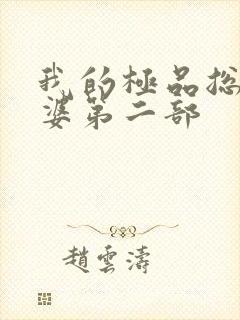 我的极品总裁老婆第二部