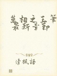 万相之王笔趣阁 最新章节