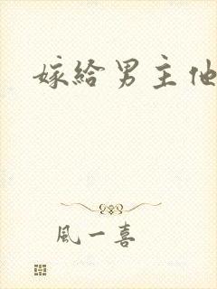 嫁给男主他爹