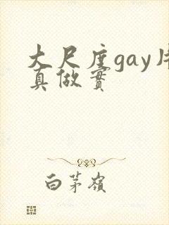 大尺度gay片真做实封面
