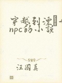 穿越到湮婸世界npc的小说