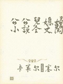 公公儿媳妇苏柔小说全文阅读封面