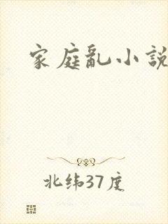 家庭乱小说h封面