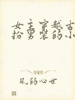 女主穿越古代女扮男装的小说