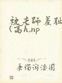 被老师羞耻调教(高h,np