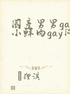 国产男男gay小鲜肉gay网站亚洲封面
