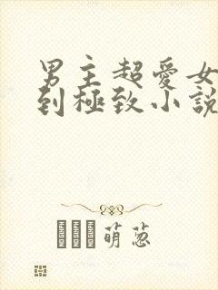 男主超爱女主爱到极致小说