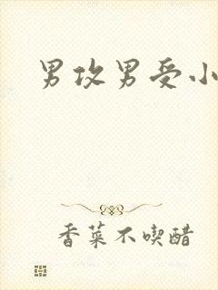 男攻男受小说h