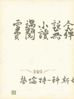 雪遇小说全文免费阅读无弹窗封面