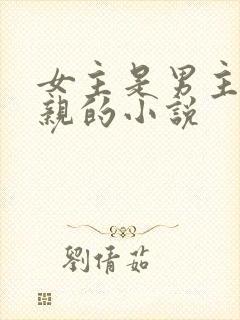 女主是男主的母亲的小说