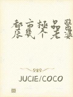 都市极品医神叶辰几个老婆