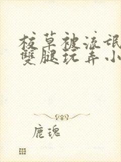 校草被流氓扒开双腿玩弄小说