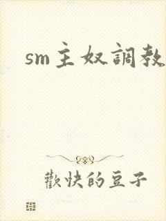 sm主奴调教文封面