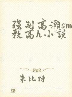 强制高潮sm调教高h小说封面