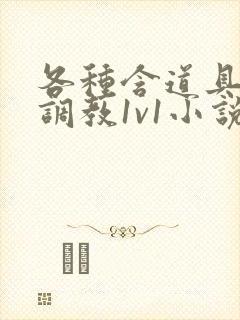 各种含道具高h调教1v1小说