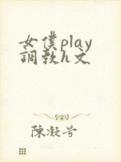 女仆play 调教h文