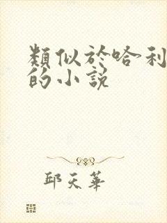 类似于哈利波特的小说