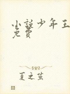小说少年王王巍免费封面