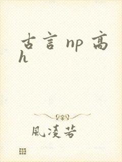 古言 np 高h