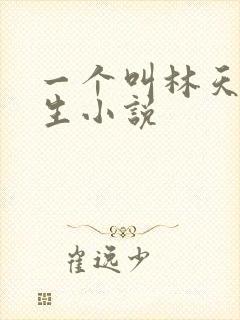 一个叫林天的重生小说