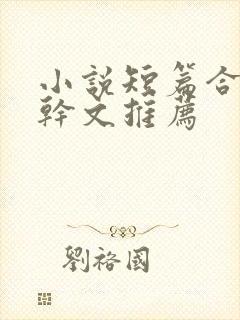 小说短篇合集高干文推荐