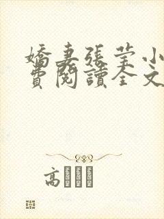 娇妻张莹小说免费阅读全文封面