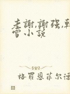 老谢,谢强,韩雪小说封面