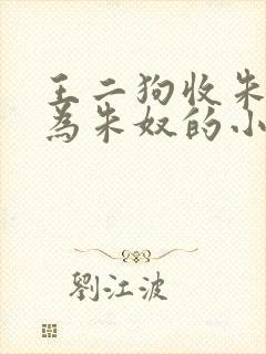 王二狗收朱竹清为朱奴的小说