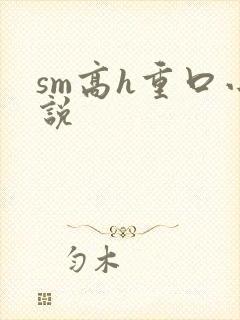 sm高h重口小说