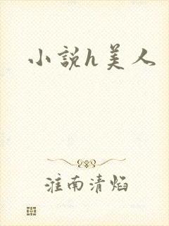 小说h美人