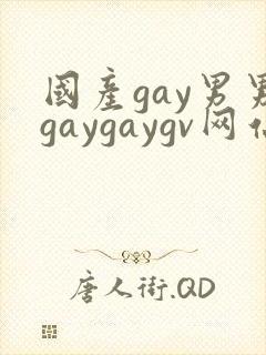 国产gay男男gaygaygv网站