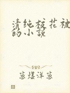 清纯校花被调教的小说