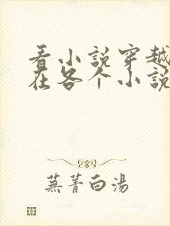 看小说穿越之我在各个小说当女主