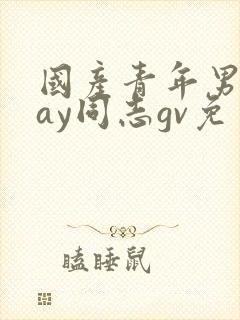 国产青年男男gay同志gv免费